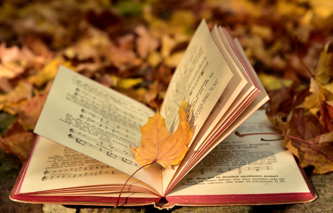 Why Web Stories for Digital Strategies image