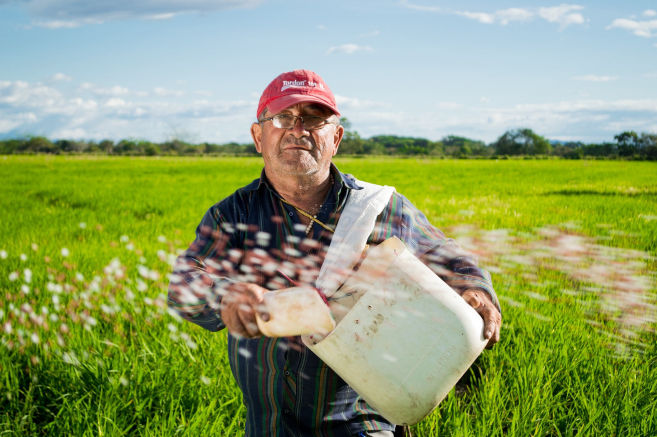 Internet Farming with Helpful Content image